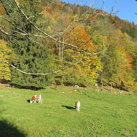 Vakantiehuis Schossbach In Haus Waldwinkel Aschau im Chiemgau