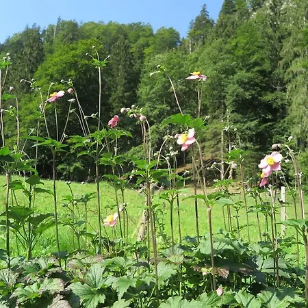 Schossbach In Haus Waldwinkel Aschau im Chiemgau