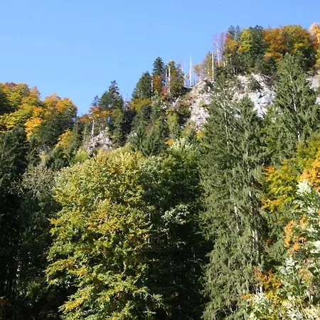 Vakantiehuis Schossbach In Haus Waldwinkel Aschau im Chiemgau