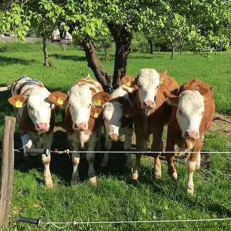 Schossbach In Haus Waldwinkel * Aschau im Chiemgau